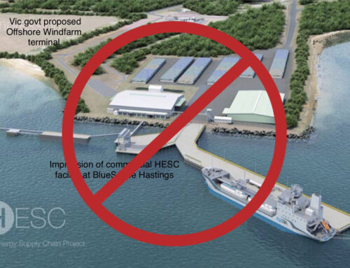 Feds, Citing Environmental Concerns, Reject Port of Hastings as Wind Farm Staging Area
