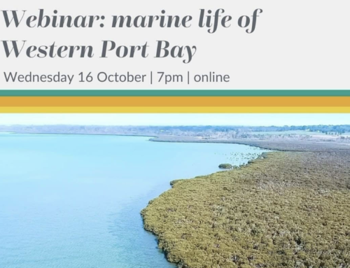 Western Port Biosphere and VNPA are hosting some wonderful speakers for our first Western Port community series